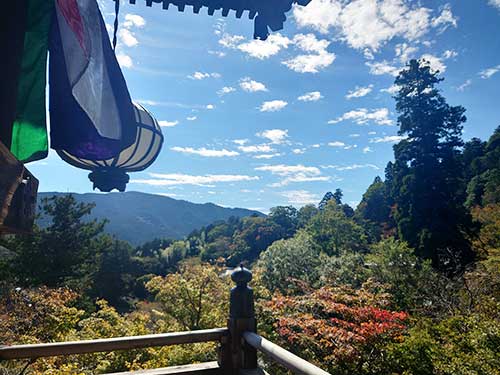 長谷寺からの眺望